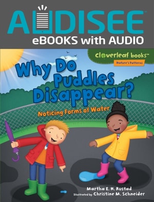 Why Do Puddles Disappear?