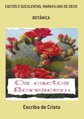 CACTOS E SUCULENTAS, MARAVILHAS DE DEUS