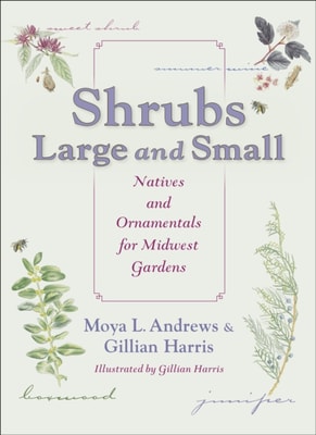 Shrubs Large and Small