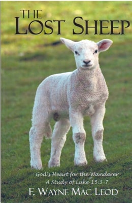 Lost Sheep