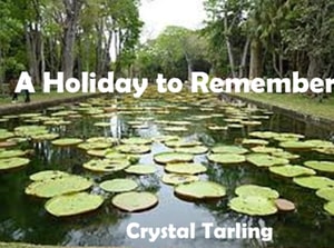 Holiday to Remember