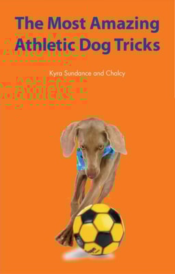 Most Amazing Silly Dog Tricks