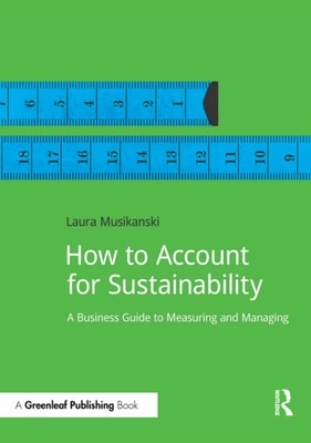 How to Account for Sustainability