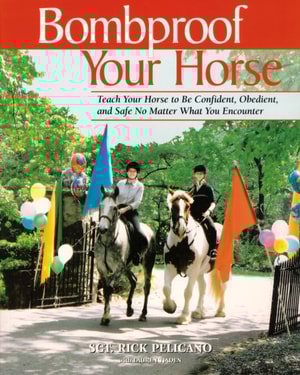 Horses in Translation