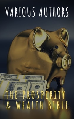 Prosperity & Wealth Bible