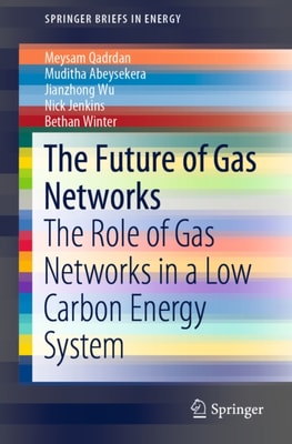 Future of Gas Networks