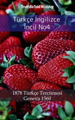 Türkçe İngilizce İncil No4