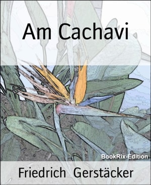 Am Cachavi