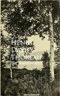 Maine Woods