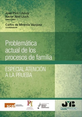 Problemática actual de los procesos de familia