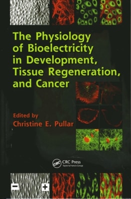 Physiology of Bioelectricity in Development, Tissue Regeneration and Cancer