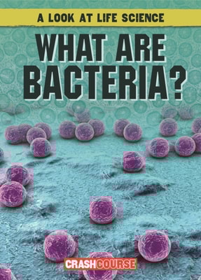 What Are Bacteria?