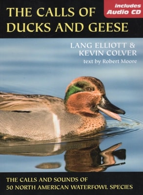 Calls of Ducks & Geese
