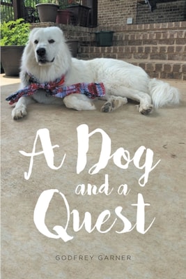 Dog and a Quest