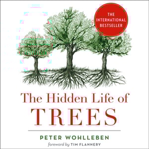 Hidden Life of Trees