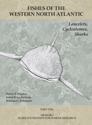 Lancelets, Cyclostomes, Sharks