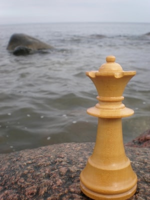 Die Gambitspielerin