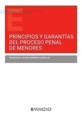 Principios y garantías del proceso penal de menores