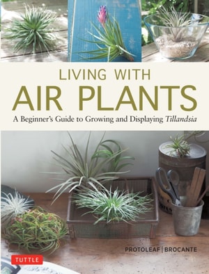 Living with Air Plants