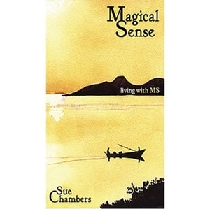 Magical Sense