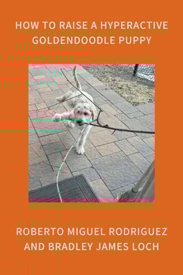 How to Raise a Hyperactive Goldendoodle Puppy