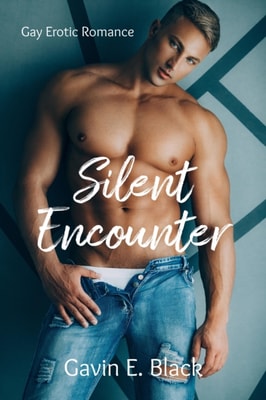 Silent Encounter: Gay Erotic Romance