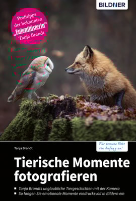 Tierische Momente fotografieren