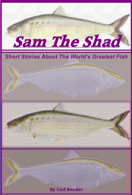 Sam the Shad