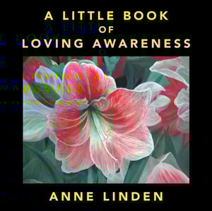 Little Book of Loving Awareness