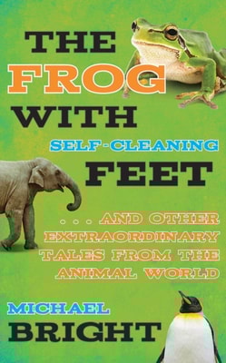 Frog with Self-Cleaning Feet