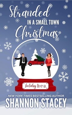 Stranded In A Small Town Christmas