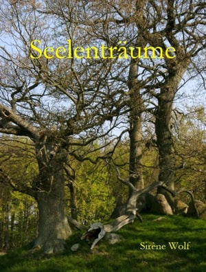 Lean Administration Taschenbuch