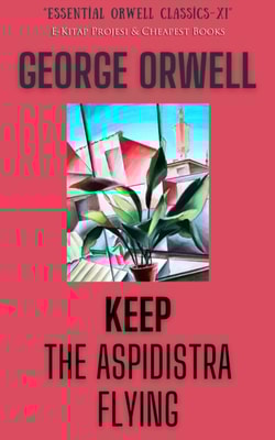 Keep the Aspidistra Flying