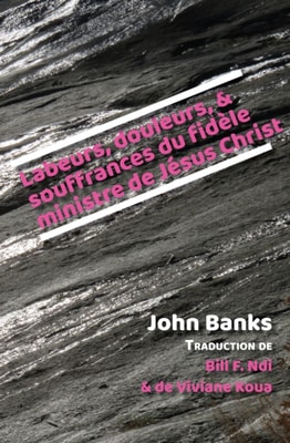 Labeurs, douleurs, et souffrances du fid,le ministre de J,sus Christ