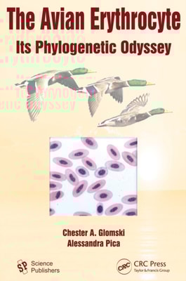 Avian Erythrocyte