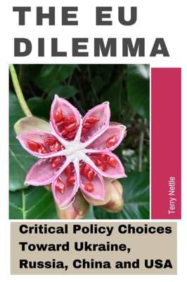 EU Dilemma: EU's Critical Policy Choices Toward Ukraine, Russia, China and USA