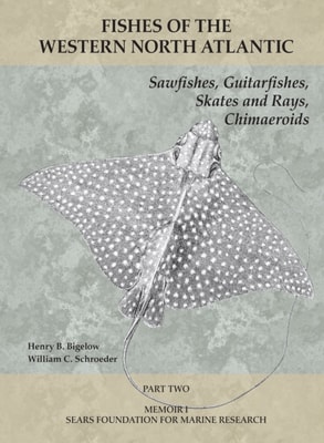 Sawfishes, Guitarfishes, Skates and Rays, Chimaeroids