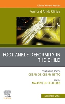 Pelvic Floor Disorders, An Issue of Gastroenterology Clinics of North America, E-Book