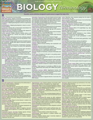 Writing Tips: Term Paper Vocabulary