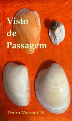 Visto de passagem