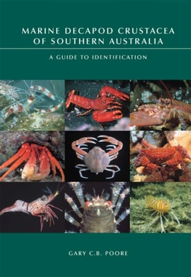 Monocots: Systematics and Evolution