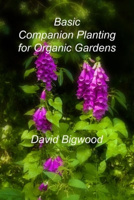 Basic Companion Planting for Organic Gardens