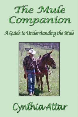 Mule Companion: A Guide to Understanding the Mule