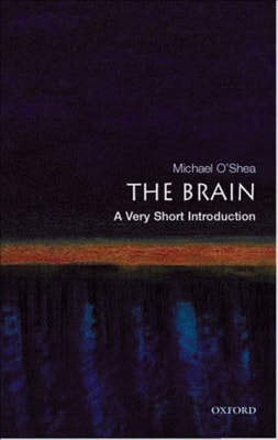Brain
