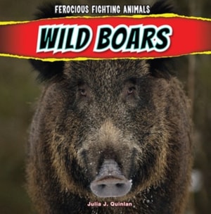 Wild Boars