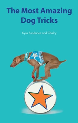 Most Amazing Silly Dog Tricks
