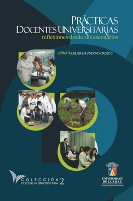 Practicas docentes universitarias