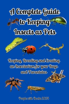 Complete Guide to Keeping Insects as Pets