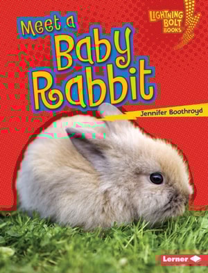 Meet a Baby Rabbit