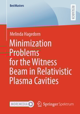 Minimization Problems for the Witness Beam in Relativistic Plasma Cavities